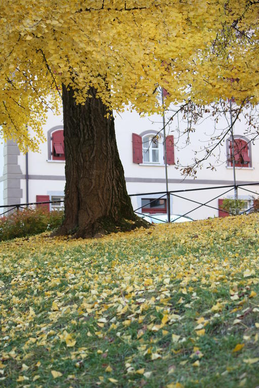 Garni Villa Waiz Roncegno Bagian luar foto